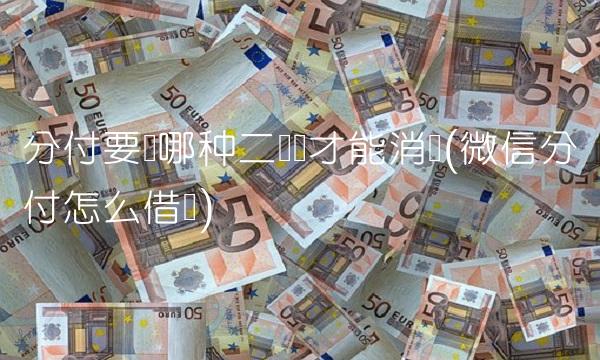 分付要扫哪种二维码才能消费(微信分付怎么借钱)