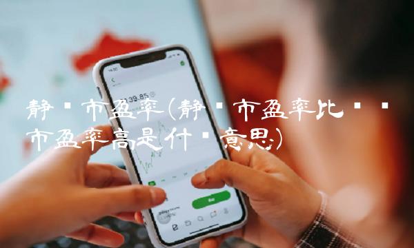 静态市盈率(静态市盈率比动态市盈率高是什么意思)