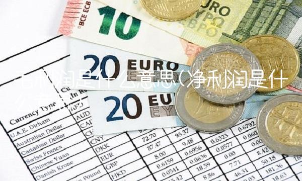 毛利润是什么意思(净利润是什么意思)