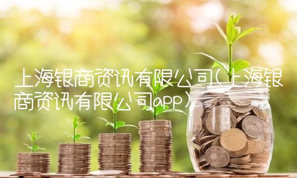 上海银商资讯有限公司(上海银商资讯有限公司app)