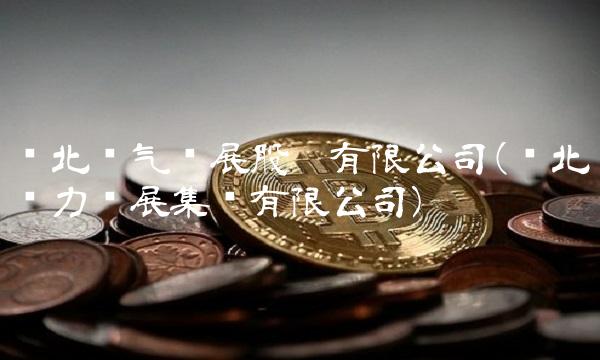 东北电气发展股份有限公司(东北电力发展集团有限公司)