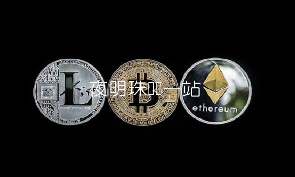 夜明珠预测一站