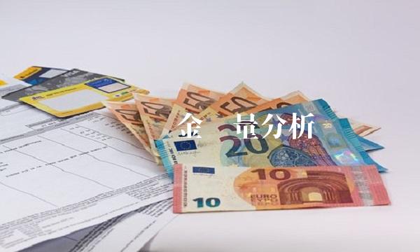 货币资金质量分析