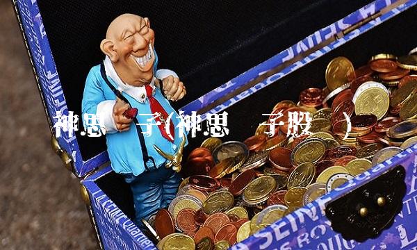 神思电子(神思电子股吧)