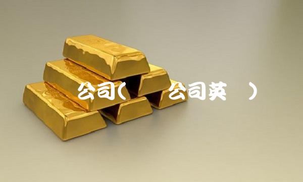 蓝筹公司(蓝筹公司英语)