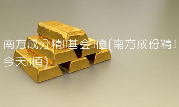 南方成分精选基金净值(南方成份精选今天净值) 南方成分精选基金净值(南方成份精选今天净值)