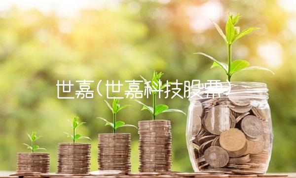 世嘉(世嘉科技股票) 世嘉(世嘉科技股票)