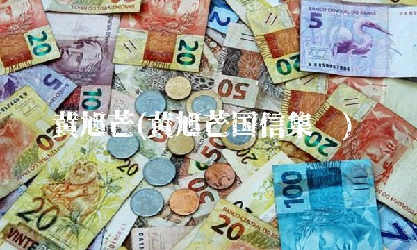 黄旭芒(黄旭芒国信集团)