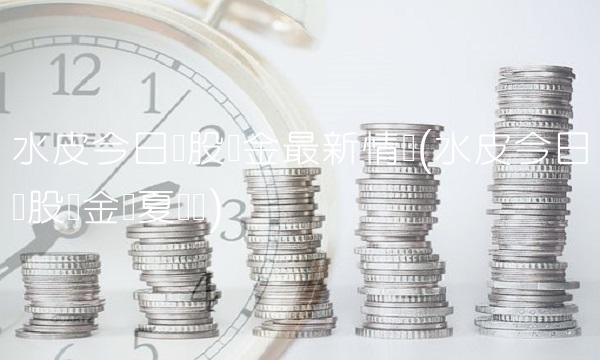 水皮今日谈股论金最新情况(水皮今日谈股论金华夏时报)