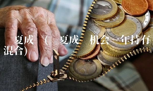 华夏成长(华夏成长机会一年持有混合) 华夏成长(华夏成长机会一年持有混合)