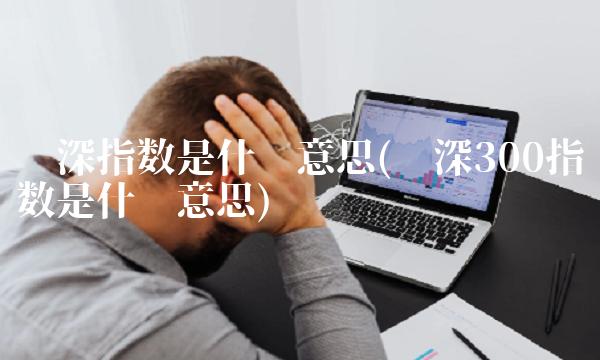 沪深指数是什么意思(沪深300指数是什么意思) 沪深指数是什么意思(沪深300指数是什么意思)