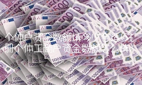 个体户资金数额填多少合适(注册个体工商户资金数额怎么填)
