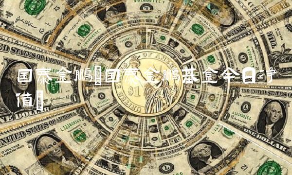 国泰金鹏(国泰金鹏基金今日净值)