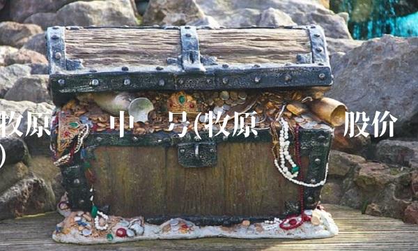 牧原转债中签号(牧原转债转股价)