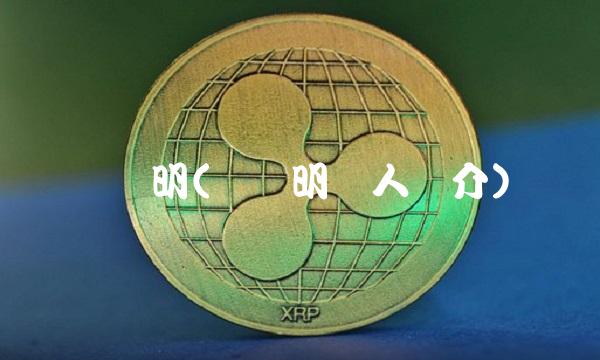 鲁晓明(鲁晓明个人简介)