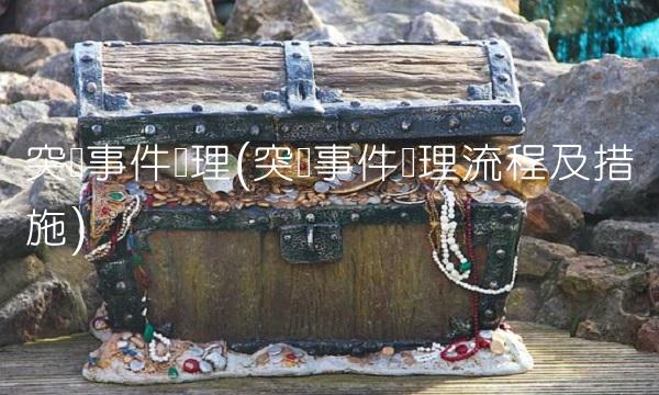 突发事件处理(突发事件处理流程及措施)