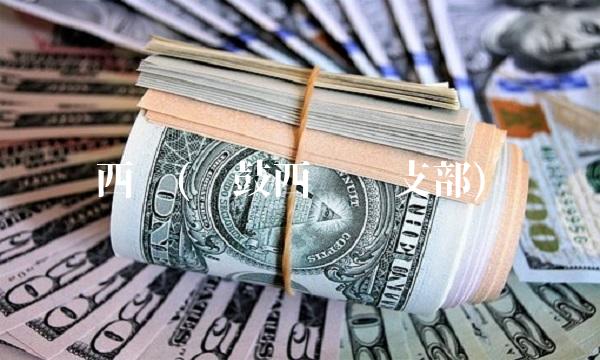 西仪(陕鼓西仪团支部) 西仪(陕鼓西仪团支部)