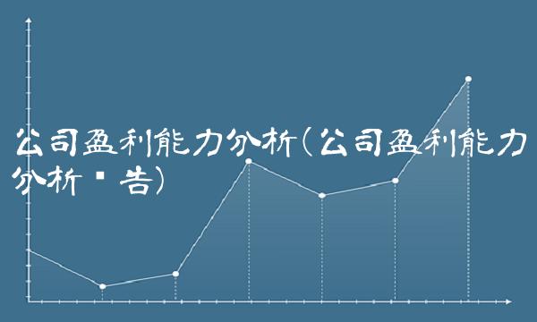 公司盈利能力分析(公司盈利能力分析报告)