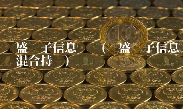 长盛电子信息产业(长盛电子信息产业混合持仓)