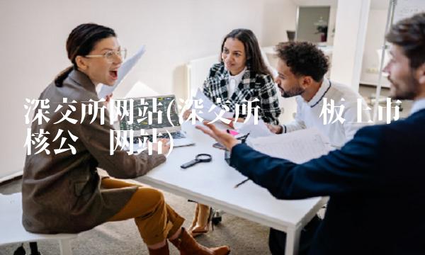 深交所网站(深交所创业板上市审核公开网站)