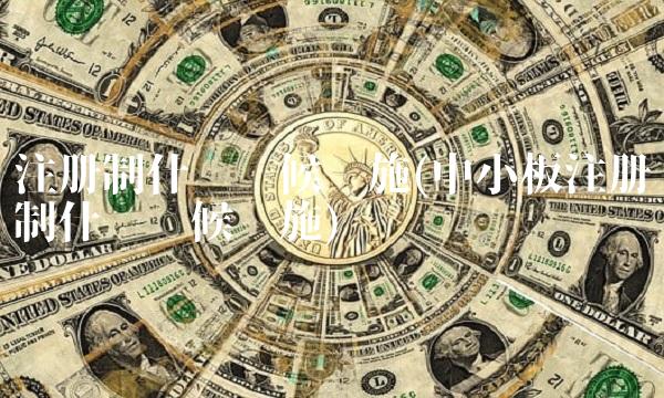 注册制什么时候实施(中小板注册制什么时候实施)