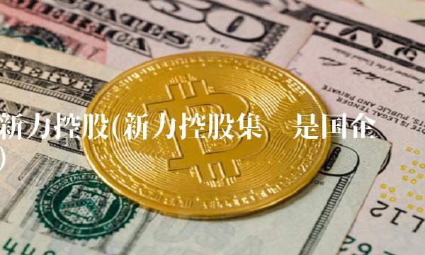 新力控股(新力控股集团是国企吗) 新力控股(新力控股集团是国企吗)
