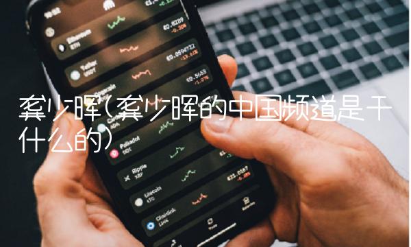 龚少晖(龚少晖的中国频道是干什么的) 龚少晖(龚少晖的中国频道是干什么的)