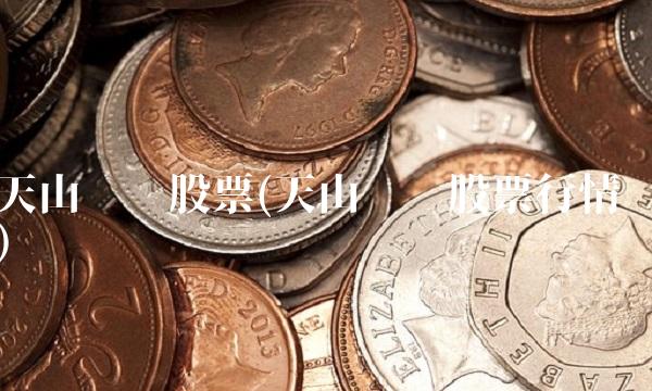 天山铝业股票(天山铝业股票行情)