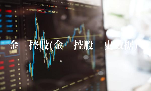 金辉控股(金辉控股历史数据) 金辉控股(金辉控股历史数据)