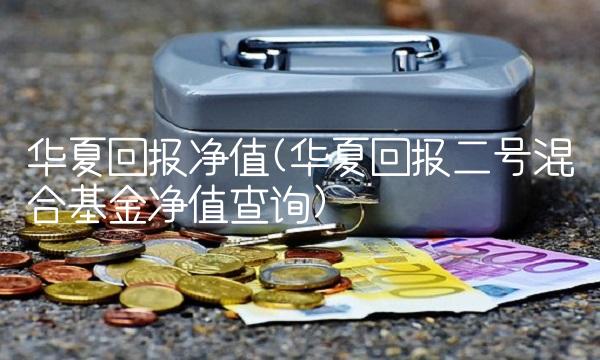 华夏回报净值(华夏回报二号混合基金净值查询)