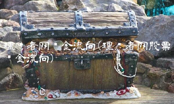 理财者网资金流向(理财者网股票资金流向)