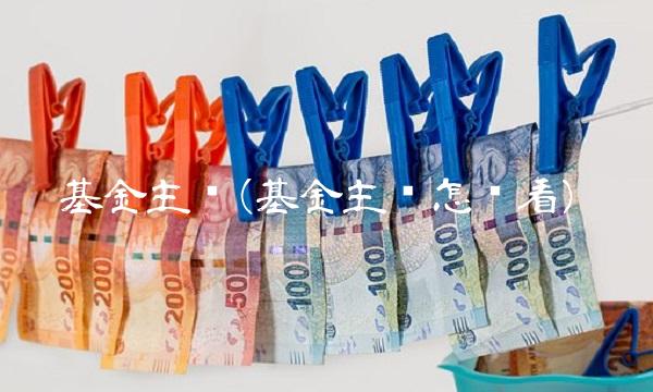 基金主页(基金主页怎么看)