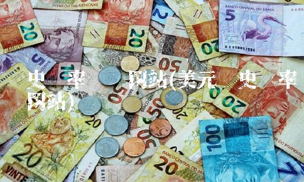 历史汇率查询网站(美元历史汇率查询网站)