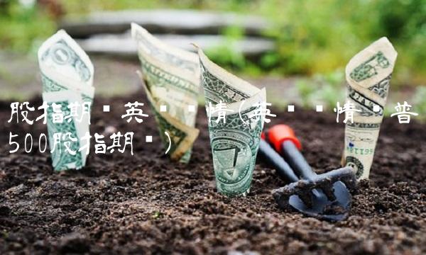 股指期货英为财情(英为财情标普500股指期货)