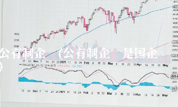 公有制企业(公有制企业是国企吗)