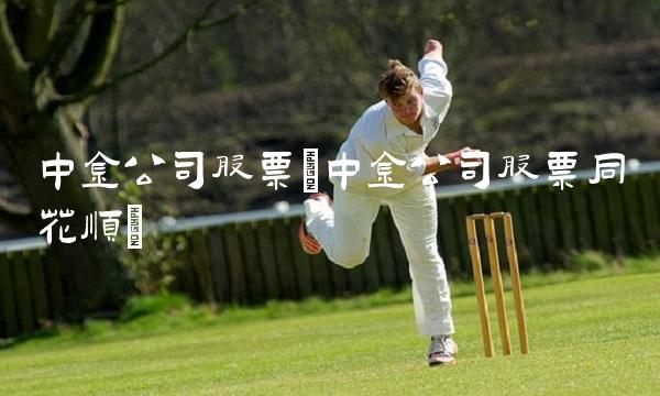 中金公司股票(中金公司股票同花顺)