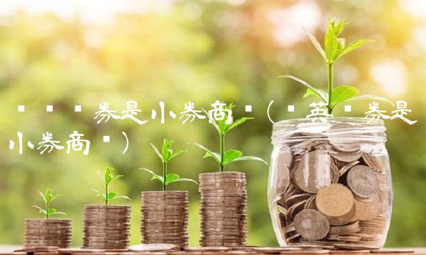 华创证券是小券商吗(华英证券是小券商吗)