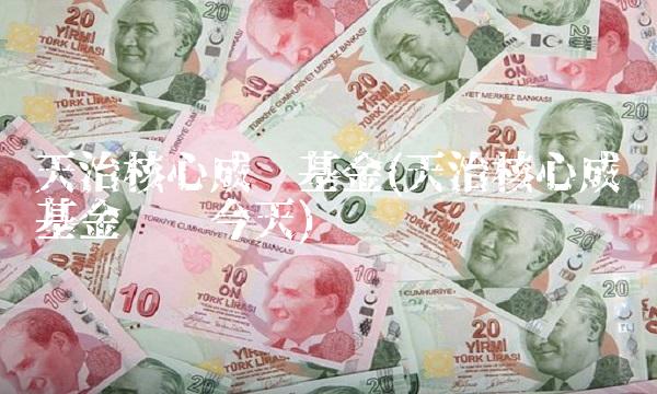 天治核心成长基金(天治核心成长基金净值今天) 天治核心成长基金(天治核心成长基金净值今天)