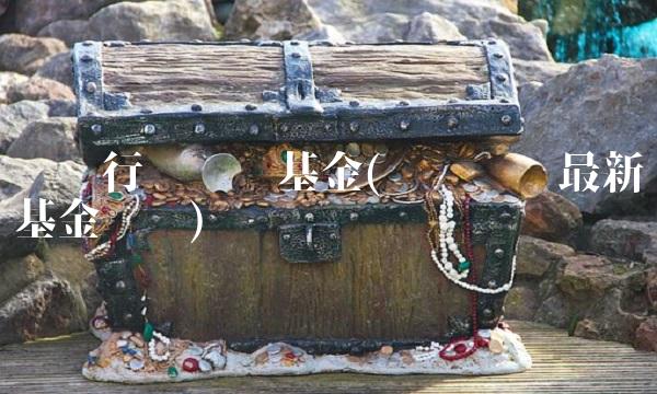 东吴行业轮动基金(东吴轮动最新基金净值)