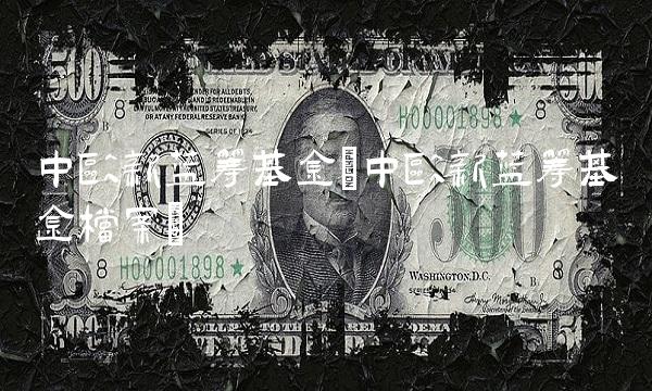 中欧新蓝筹基金(中欧新蓝筹基金档案) 中欧新蓝筹基金(中欧新蓝筹基金档案)