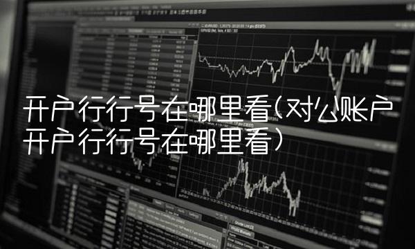 开户行行号在哪里看(对公账户开户行行号在哪里看)
