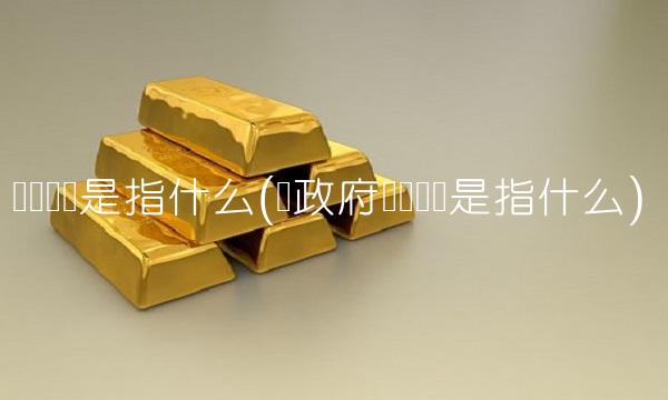 资产总额是指什么(乡政府资产总额是指什么) 资产总额是指什么(乡政府资产总额是指什么)