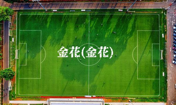 金花(金花)
