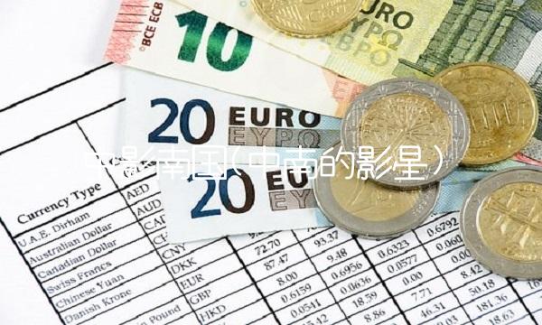 中影南国(中南的影星)