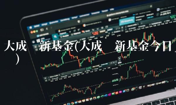 大成创新基金(大成创新基金今日净值)