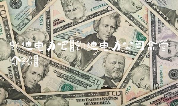 凯迪电力吧(凯迪电力公司高管介绍)
