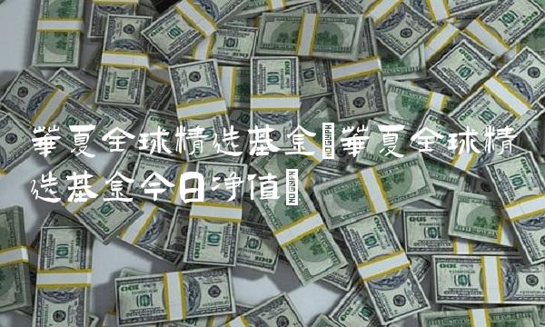 华夏全球精选基金(华夏全球精选基金今日净值)