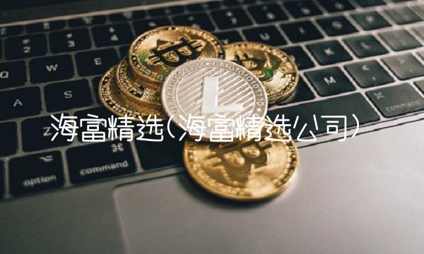 海富精选(海富精选公司) 海富精选(海富精选公司)
