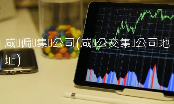 咸阳偏转集团公司(咸阳公交集团公司地址)