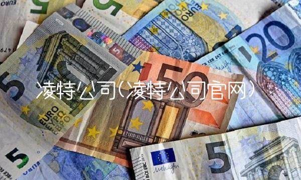 凌特公司(凌特公司官网) 凌特公司(凌特公司官网)